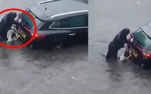 温馨一幕：女子暴雨中帮推车 狗狗担心主人游过去伸前爪帮忙