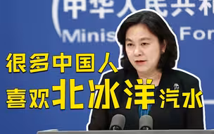 华春莹：民主没有固定模式，就像中国胃不适合每天喝冷牛奶，美国人不习惯用筷子