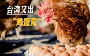 整整三年过去，鸡蛋快成奢侈品，台媒怒批台当局粉饰太平