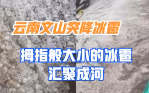 云南文山突降冰雹，拇指般大小的冰雹汇聚成河，连鸟都被打死了！
