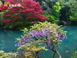 近日，浙江杭州，九溪十八涧绿意葱茏、流水潺潺，春日繁花在此悠然盛开，姹紫嫣红倒映在清澈的溪水中，别有一番静谧幽美。