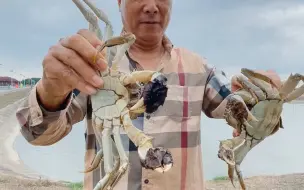 “在这秋风里，每当我想起你……”，浦东本地大闸蟹上市啦！今年品质怎么样？听听专家怎么说。【编导：嵇振华】