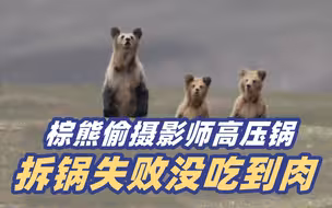 肉太香却吃不到！棕熊偷走摄影师高压锅 拆掉一堆零件还是没打开
