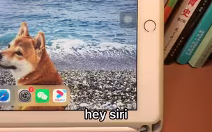男子日常调戏siri 没想到把自己整不会了