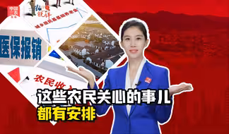 三农锐评丨养老金、医保、增收等，这些农民关心的事儿都有安排