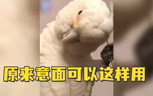 原来意面还可以这样用