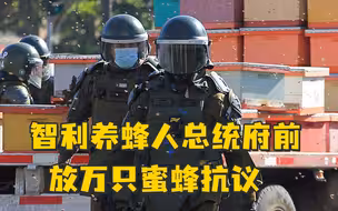 智利养蜂人在总统府前放万只蜜蜂抗议，7名警察被蜇伤，4人被捕
