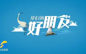 这种极度濒危鸟类自带“餐具”来黄河三角洲“干饭”了！｜我们的好朋友①