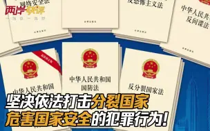 坚决依法打击分裂国家、危害国家安全的犯罪行为！