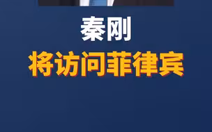 秦刚将访问菲律宾