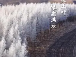 处处是风光！看河北冬日有多美？