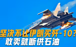 坚决不让伊朗买歼-10？五常中有3国表态支持，还有一国让美国紧张