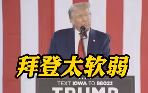 特朗普：以色列遭袭是因为美国被视为