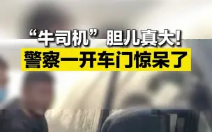 “牛司机”胆儿真大！警察一开车门惊呆了