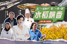 从“一粒种子”看“一带一路”：水稻飘香