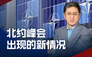 法国阻击日本接近，乌克兰加入门槛仍不低，峰会体现北约何种变化