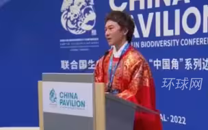 中国谈判代表穿着汉服上COP15谈判桌