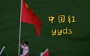 苏炳添举五星红旗入场