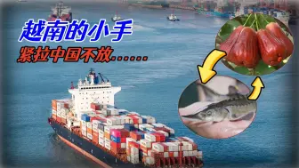 弱化南方亲欧美日倾向，越南的小手紧拉中国不放