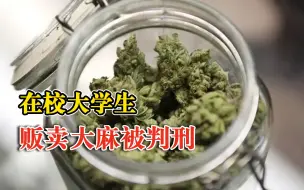 在校大学生贩卖大麻被判刑，法院：有期徒刑6个月并处罚金2000元
