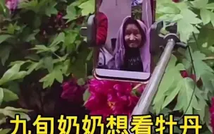 都市报道【九旬奶奶想看洛阳牡丹 ，孙子叫跑腿直播！】
