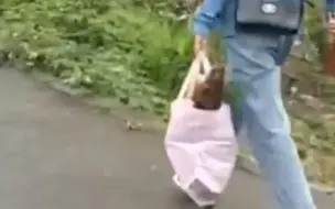 成都一小镇游客旅游私自挖笋 村民10根笋索赔10万？官方回应