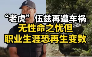 “老虎”伍兹再遭车祸，无性命之忧但职业生涯恐再生变数