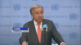 联合国秘书长：必须再给和平一次机会