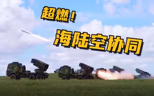 海陆空紧密协同、配合作战！十余兵种各显“神通”，超燃呈现