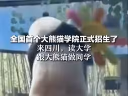 来四川，读大学，跟大熊猫做同学！
