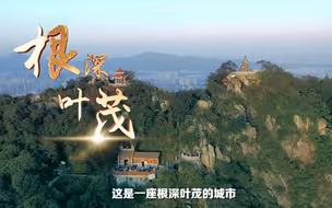 2023年晋江市企业创新发展大会，奋力谱写“晋江经验”新篇章