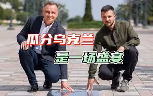 除了波兰，还有一个国家想瓜分乌克兰，议员称要收回“历史土地”