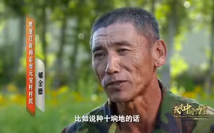 “任仲平”政论短视频：赶考路上的每一个答卷人