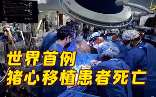 存活两个月！世界首例猪心移植患者死亡