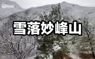 清明节前，雪落妙峰山