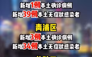 上海各区发布5月11日新增新冠肺炎病例数量