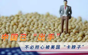 年进口超1亿吨？专家：中国已“出手”，不必担心被美“卡脖子”