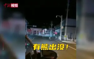 熊出没！棕熊深夜在四川石渠街头“溜达”