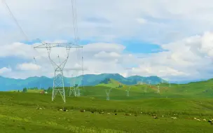 BBC：新疆怎么是绿色的？一定是用了滤镜