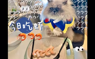 小可爱又来水视频啦