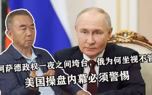 阿萨德政权一夜之间垮台，俄为何坐视不管？美国操盘内幕必须警惕