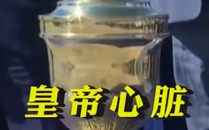 庆祝独立200周年，巴西“迎回”第一任皇帝心脏