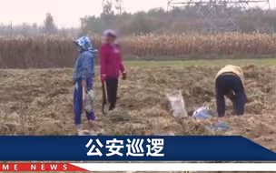 秦皇岛一地村民心累：有老人从城里来偷菜，被抓就躺倒说犯病心脏病