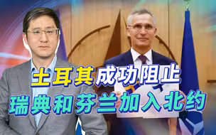 瑞典芬兰或放弃加入北约，土耳其成最强反东扩守门员，比普京有效
