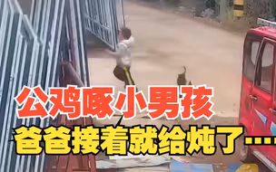 小男孩被大公鸡追着啄屁股 爸爸抡起锤子放倒炖了给儿子吃