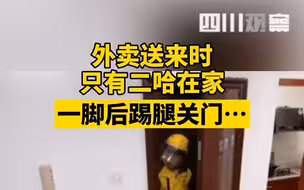 当主人不在家时，两只二哈收到了一份外卖，然后……
