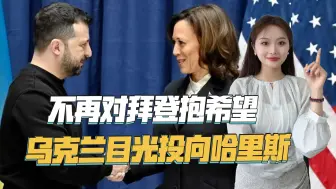 翻脸了？乌克兰称拜登政府已自身难保，应把希望放在哈里斯身上