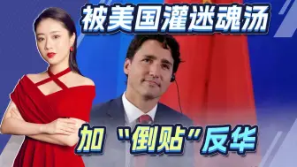 加拿大吹响“反华”冲锋号，政客胡扯、还派军舰上门挑衅