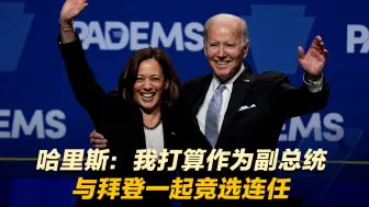 哈里斯：我打算作为副总统与拜登一起竞选连任