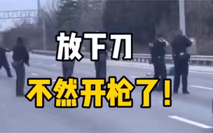 现场曝光：美国男子持刀具走上公路，遭9名警察围攻当场射杀